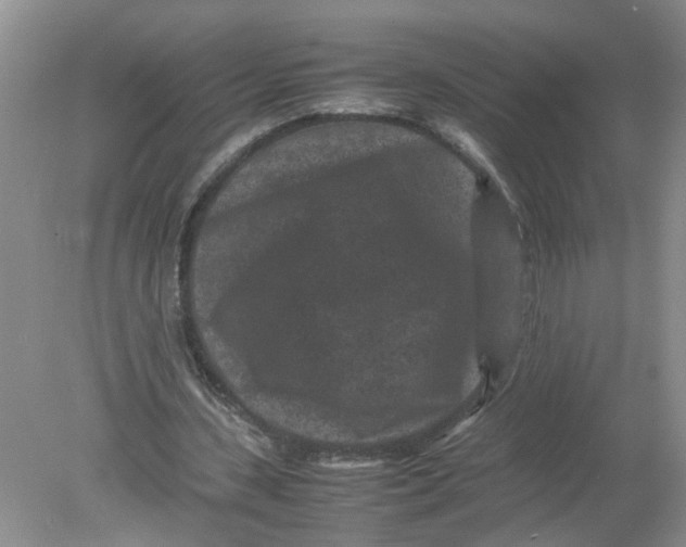 X0000078860531200612041934