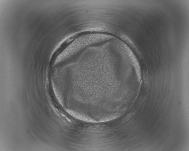 X0000078860532200612041934