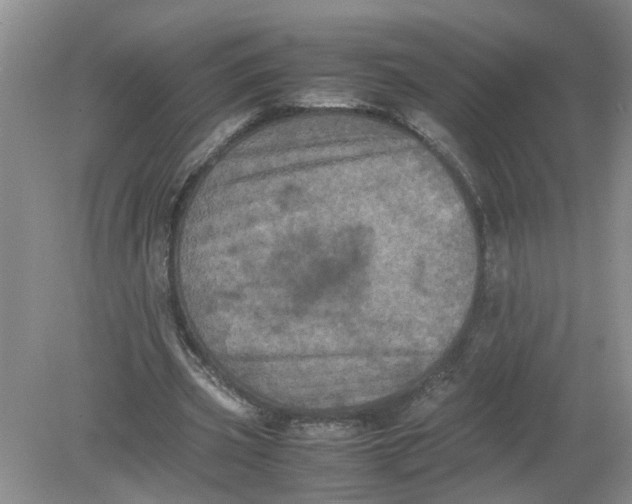 X0000078860533200612041934