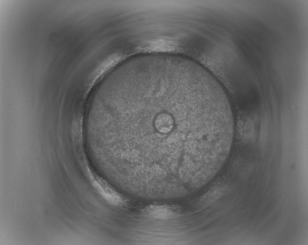 X0000078860534200612041934