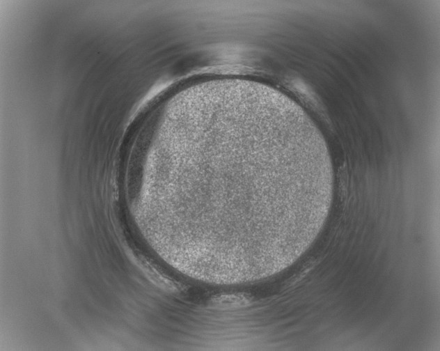 X0000078860536200612041935