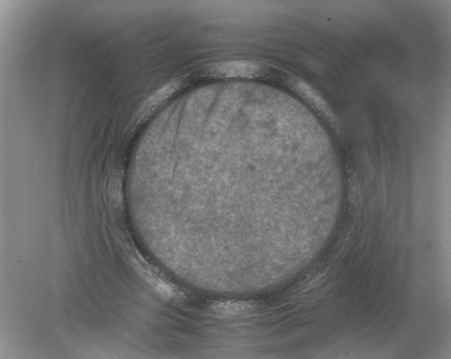 X0000078860537200612041935