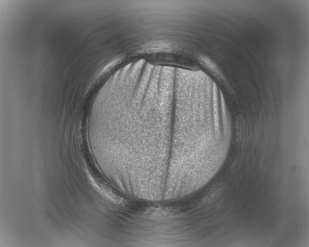 X0000078860538200612041935