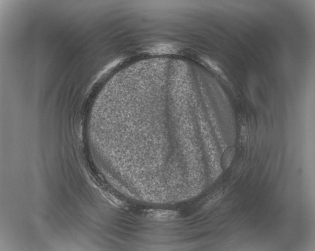 X0000078860539200612041935