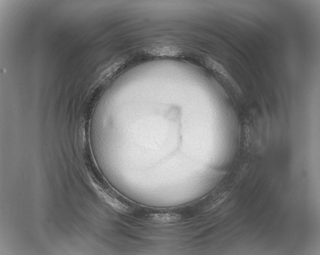 X0000078860541200612041935