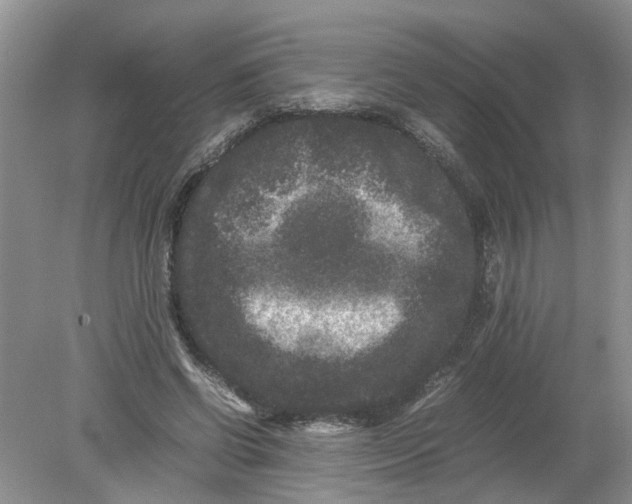 X0000078860542200612041935