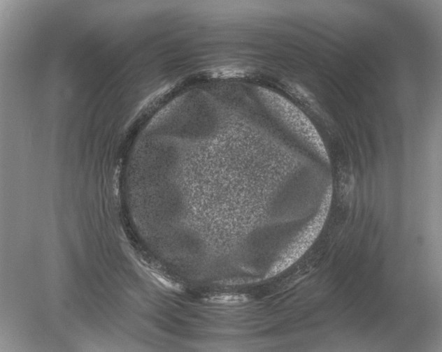 X0000078860543200612041935