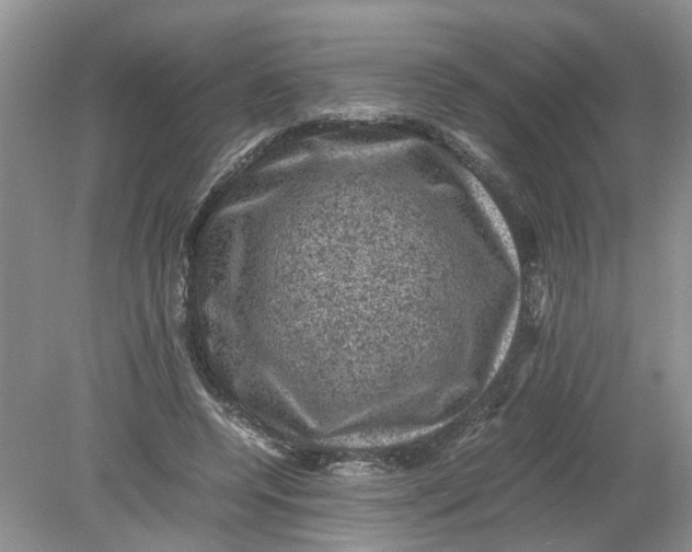 X0000078860544200612041935