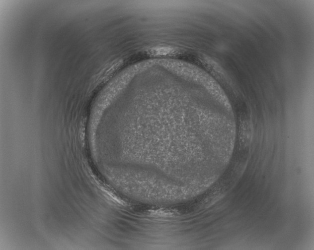 X0000078860545200612041935