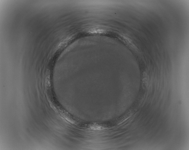 X0000078860547200612041935