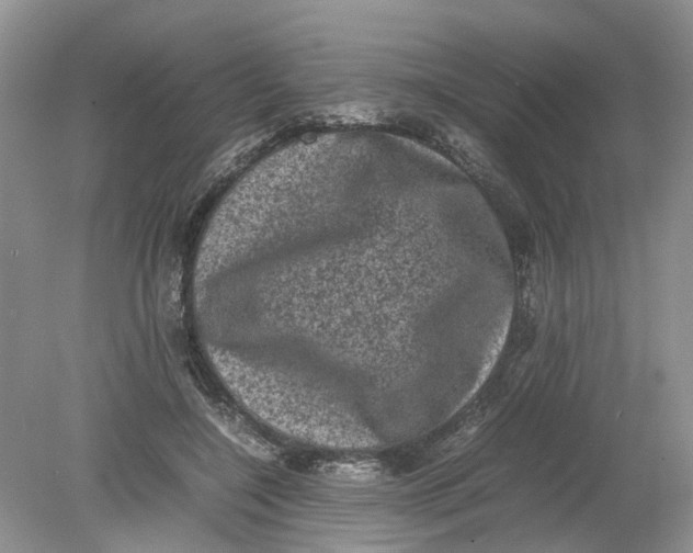 X0000078860548200612041935