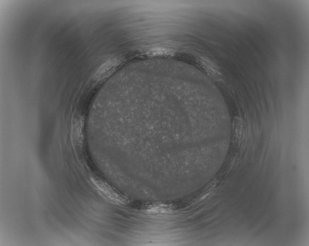 X0000078860550200612041935