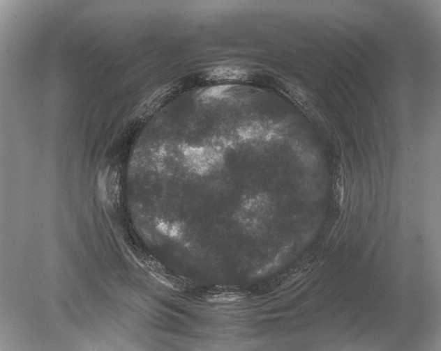 X0000078860551200612041935