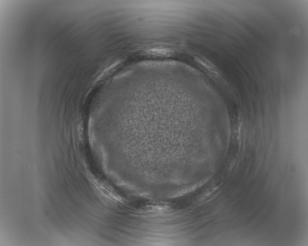 X0000078860552200612041935