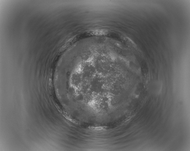 X0000078860553200612041935