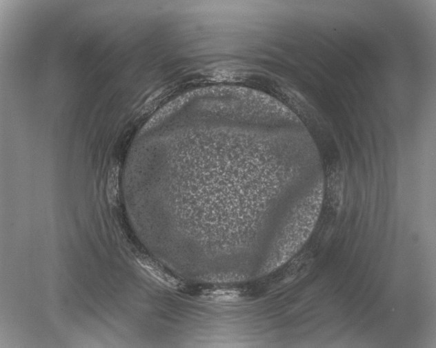 X0000078860554200612041935