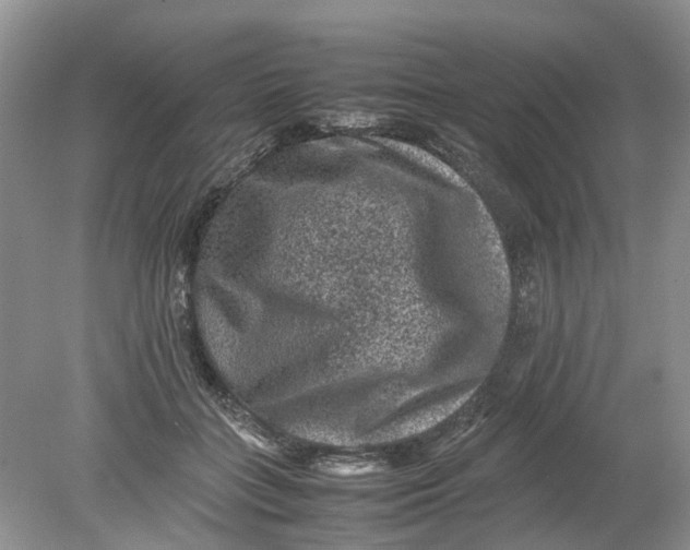 X0000078860555200612041935