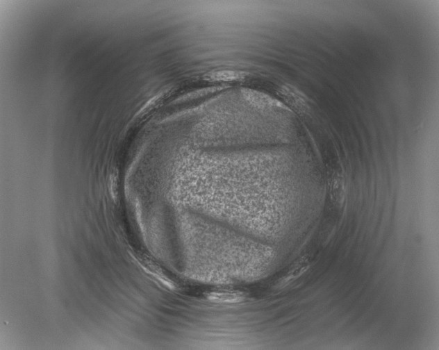 X0000078860556200612041935