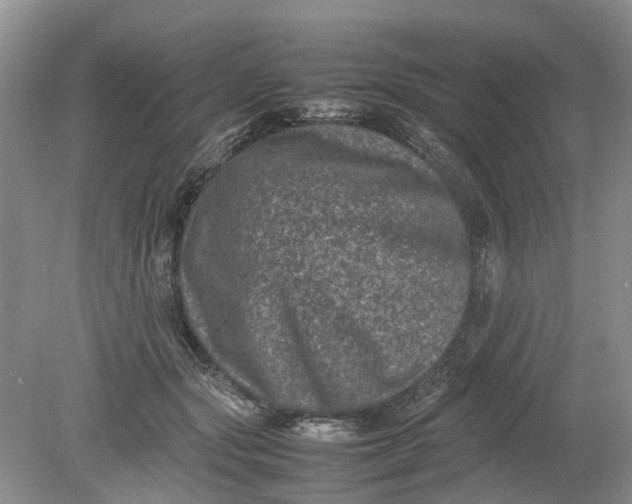 X0000078860557200612041935