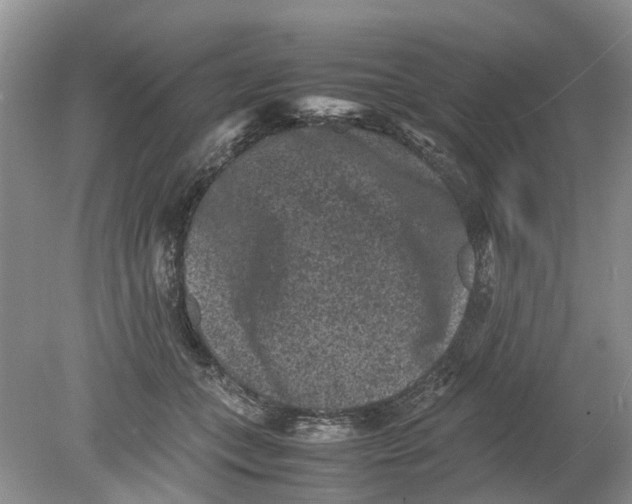 X0000078860559200612041935