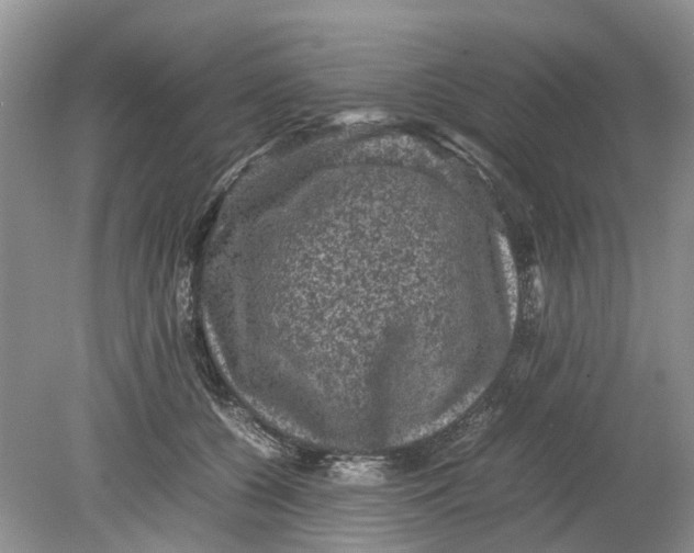 X0000078860560200612041935