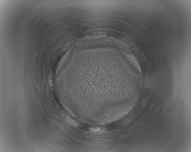 X0000078860561200612041935