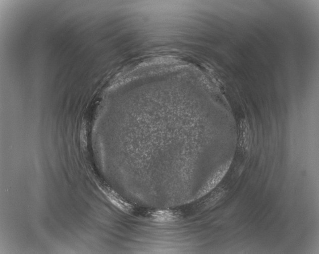 X0000078860562200612041935