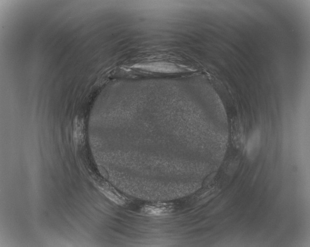 X0000078860563200612041935