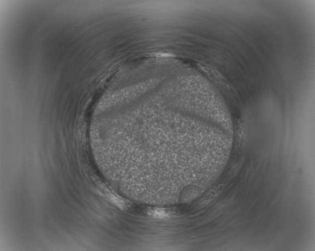 X0000078860565200612041935