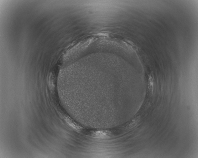 X0000078860566200612041935