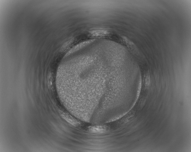 X0000078860567200612041935