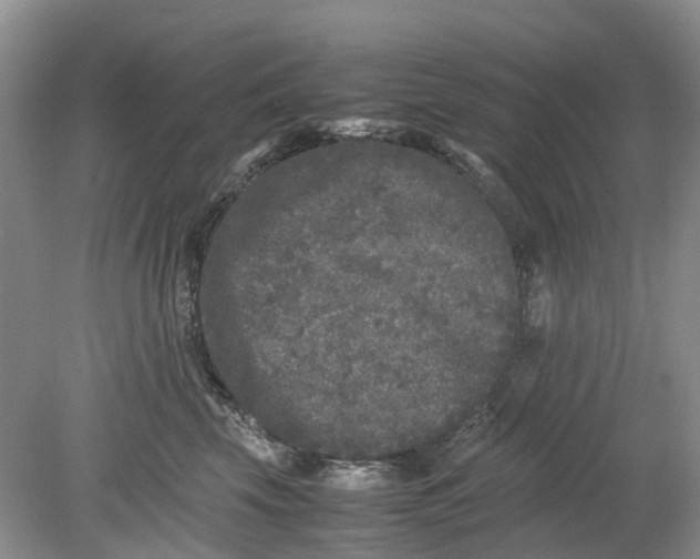 X0000078860569200612041935