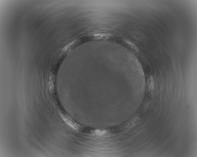 X0000078860570200612041935