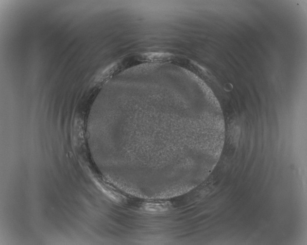 X0000078860571200612041935