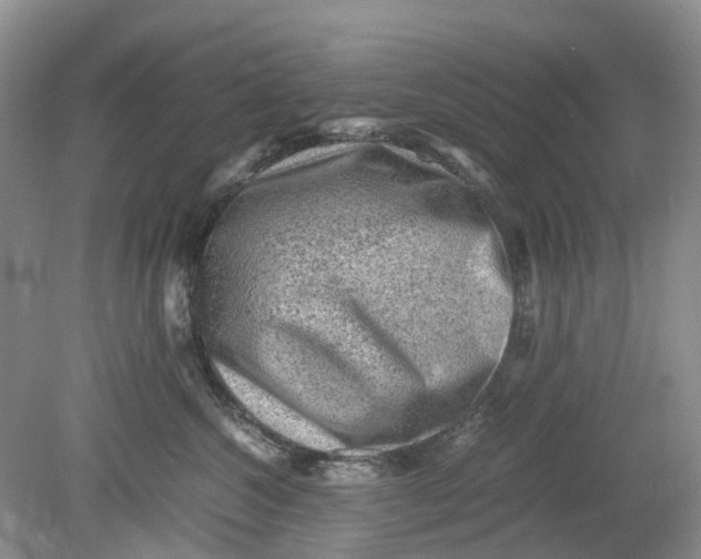 X0000078860572200612041935