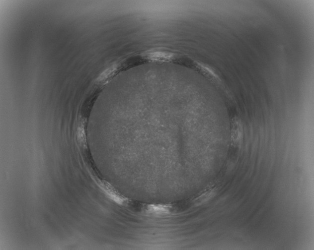 X0000078860573200612041935