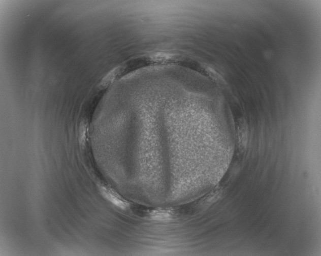 X0000078860574200612041935