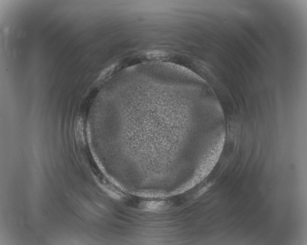 X0000078860575200612041935