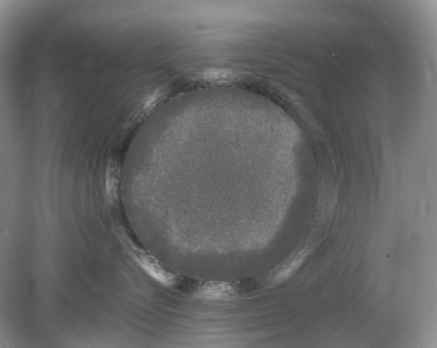 X0000078860576200612041935