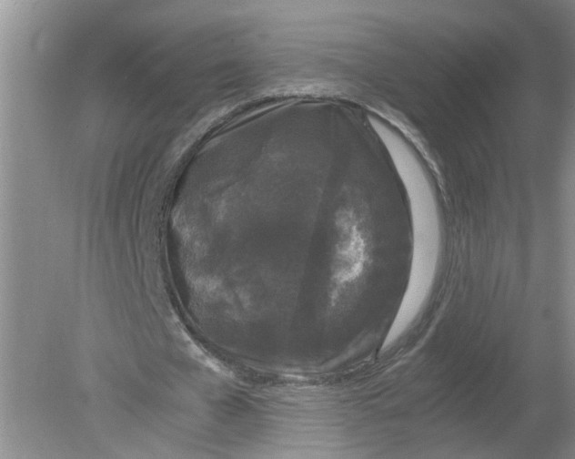 X0000078860577200612041934