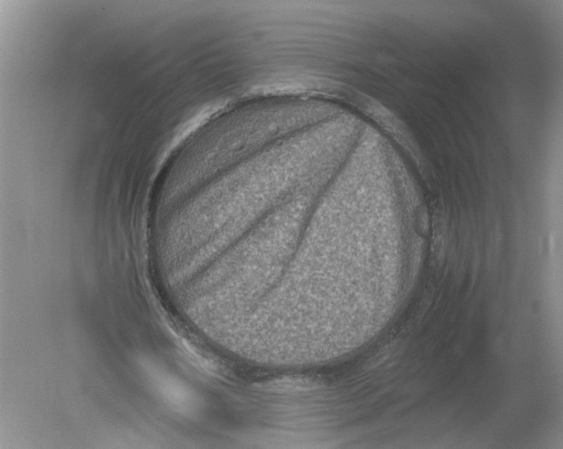 X0000078860578200612041934