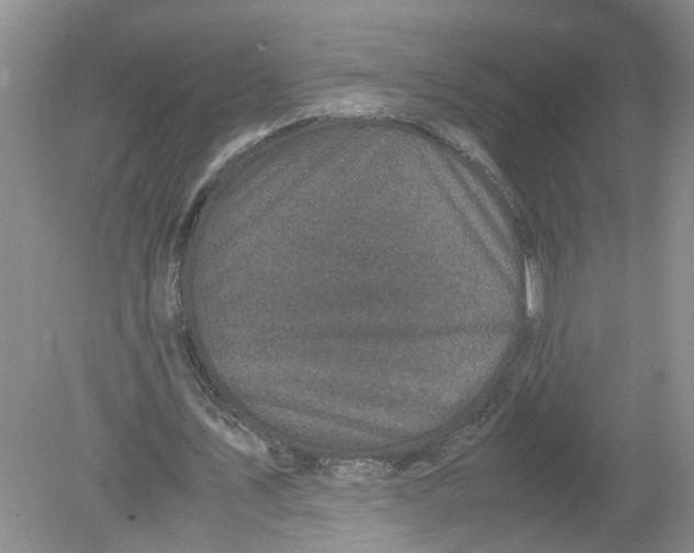 X0000078860579200612041934