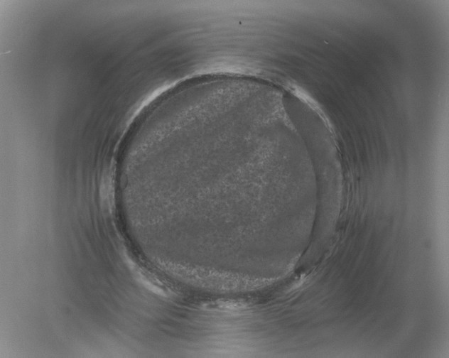 X0000078860580200612041934