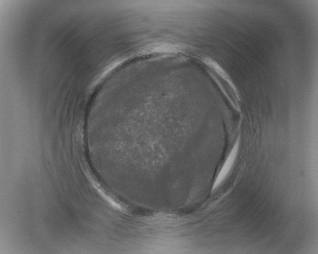 X0000078860581200612041934