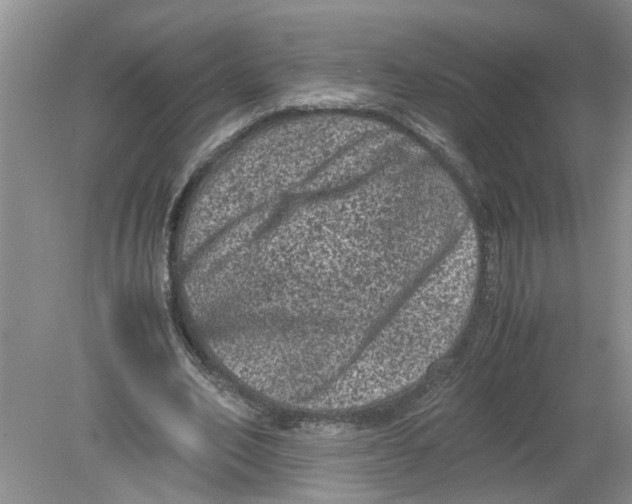 X0000078860582200612041934