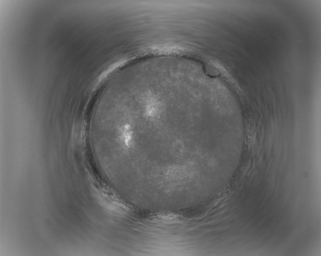 X0000078860583200612041934