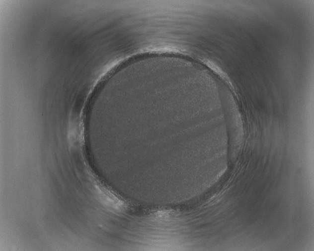 X0000078860584200612041934