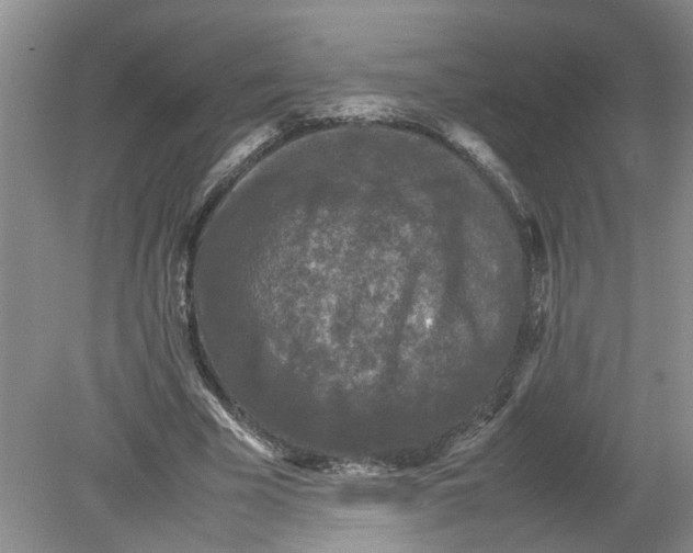 X0000078860585200612041934