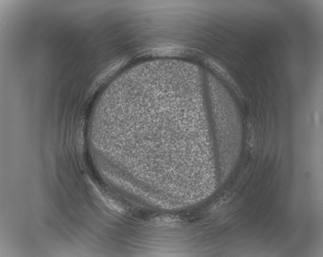 X0000078860586200612041934