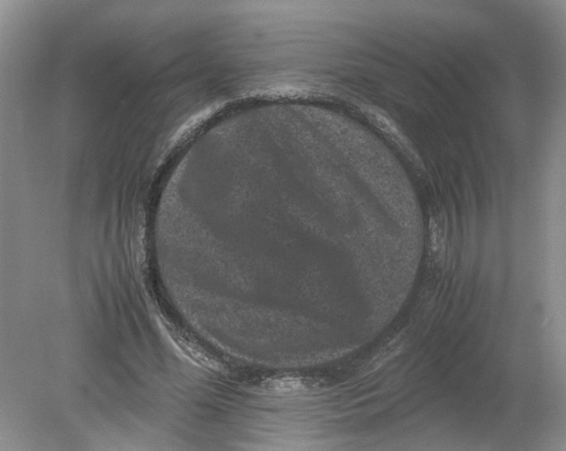 X0000078860588200612041934